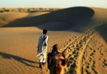 Jaisalmer – An Ultimate Desert City To Experience & Tour in 2025 Jaisalmer Desert