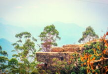 Top 5 Things Everyone Must Do In Kodaikanal Vacation in 2025 5 Things To Do In Kodaikanal
