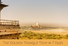Everything You Need To Know About Golden Triangle Tour India golden triangle tour india