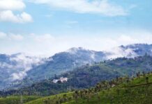 Top 5 Gardens And Lakes in Ooty to Visit in 2025 gardens and lakes of ooty