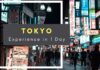 Travel Guide : Experience Tokyo In 1 Day Tokyo Guide