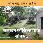 सलखन फॉसिल्स पार्क सोनभद्र – विश्वका सबसे पुराना फॉसिल्स पार्क Salkhan Fossil Park