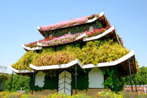 Dubai Miracle Garden