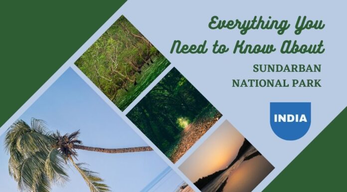 Everything You Need to Know About Sundarban National Park Everything You Need to Know About Sundarban National Park