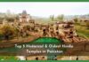 Top 5 Historical & Oldest Hindu Temples in Pakistan Hindu Temples in Pakistan