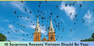 10 Surprising Reasons Vietnam Should Be Your Next Destination 10 Surprising Reasons Vietnam Should Be Your Next Destination