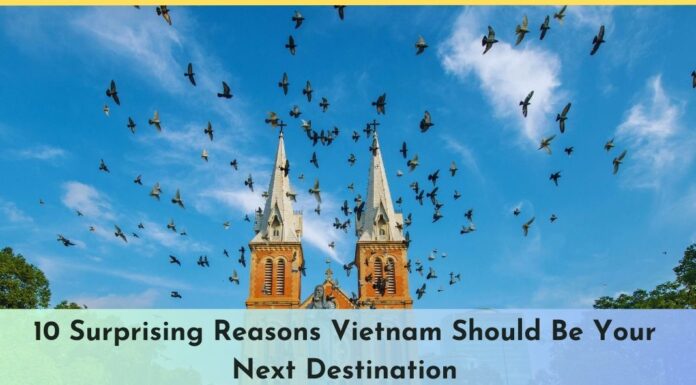 10 Surprising Reasons Vietnam Should Be Your Next Destination 10 Surprising Reasons Vietnam Should Be Your Next Destination