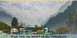 Walk Into the Heart of the Himalayas: Your 10-Day Annapurna Base Camp Trek