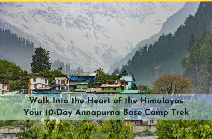 Walk Into the Heart of the Himalayas: Your 10-Day Annapurna Base Camp Trek